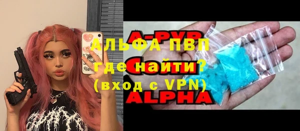 шишки Заволжск