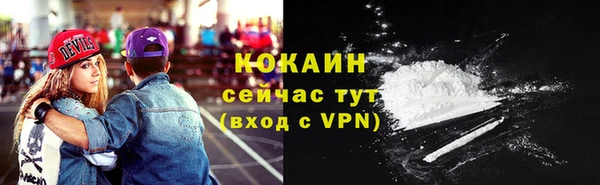 шишки Заволжск