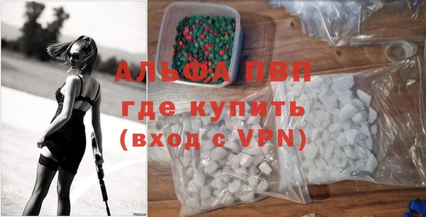 шишки Заволжск