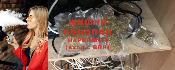 шишки Заволжск