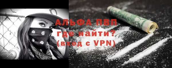 шишки Заволжск