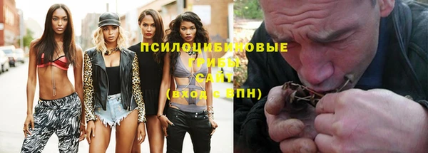 шишки Заволжск