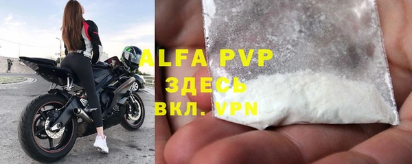 шишки Заволжск